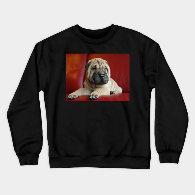 Baby Shar Pei Crewneck Sweatshirt by kawaii_shop